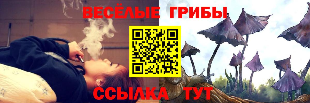 Галлюциногенные грибы Psilocybe  Вход с VPN  Богородицк 